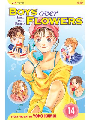 cover image of Boys Over Flowers, Volume 14